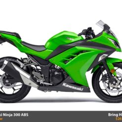 Kawasaki Ninja 300 ABS 2015 (New)