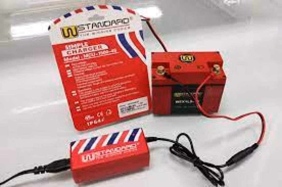 W-Standard Multifunction Simple Charger