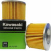 Kawasaki Oil Filter (16099003)