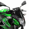 KAWASAKI Z 125 (2019-2024) Light Screen