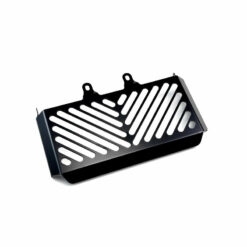 BMW R nine T (2013-2019) Radiator Guard