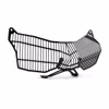 TRIUMPH, Tiger 1200 GT Pro / Rally Pro / GT Explorer / Rally Explorer (2022-), Pyramid Headlight Guard
