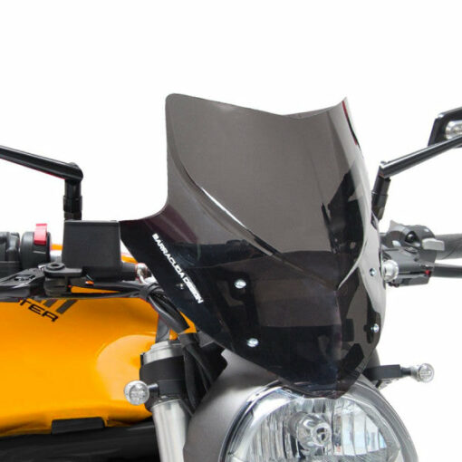 DUCATI Monster 797/821/1200 Aerosport Windscreen