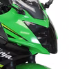 KAWASAKI Ninja 125 (2019-2024) Headlight Protector.