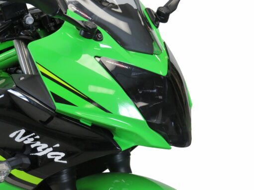 KAWASAKI Ninja 125 (2019-2024) Headlight Protector.