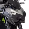 KAWASAKI Z 900 (2020-2024) Headlight Protector