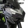 KAWASAKI Z 900 (2020-2024) Headlight Protector