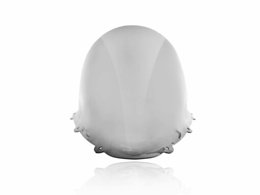 DUCATI Panigale 959 / 1299 / R / S Race High Windscreen (+50mm)